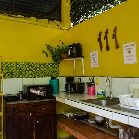 The Jungle Container Acomodação com café da manhã Quepos Exterior foto